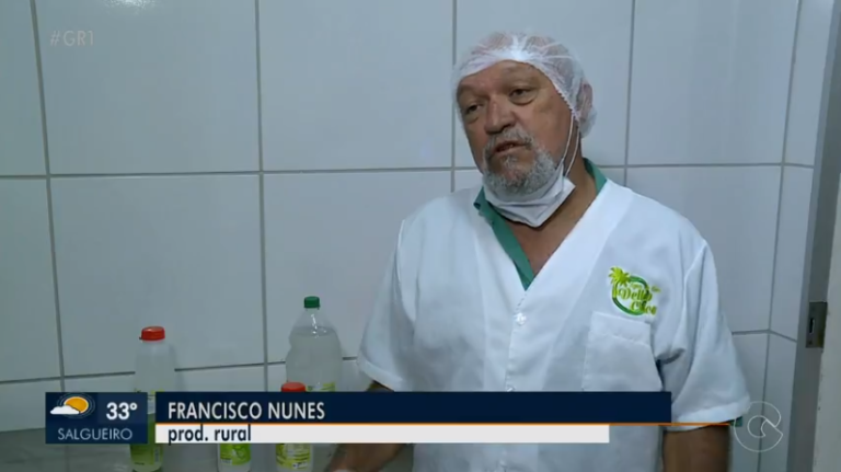 Produtores se animam com alta no preço do coco em Petrolina